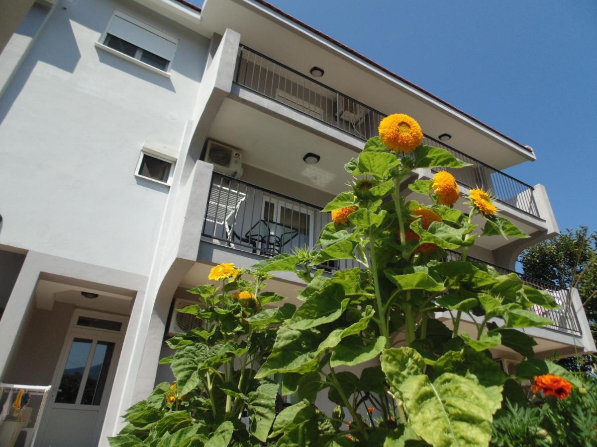 Apartments Macaso Bar Εξωτερικό φωτογραφία