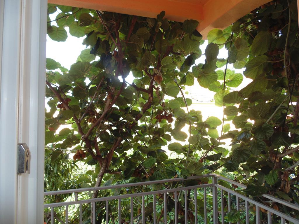 Apartments Macaso Bar Εξωτερικό φωτογραφία